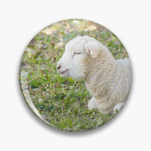 Item preview, Peaceful Sleeping Lamb in Pasture designed and sold by PaulinaS.