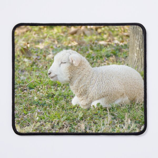 Item preview, Peaceful Sleeping Lamb in Pasture designed and sold by PaulinaS.