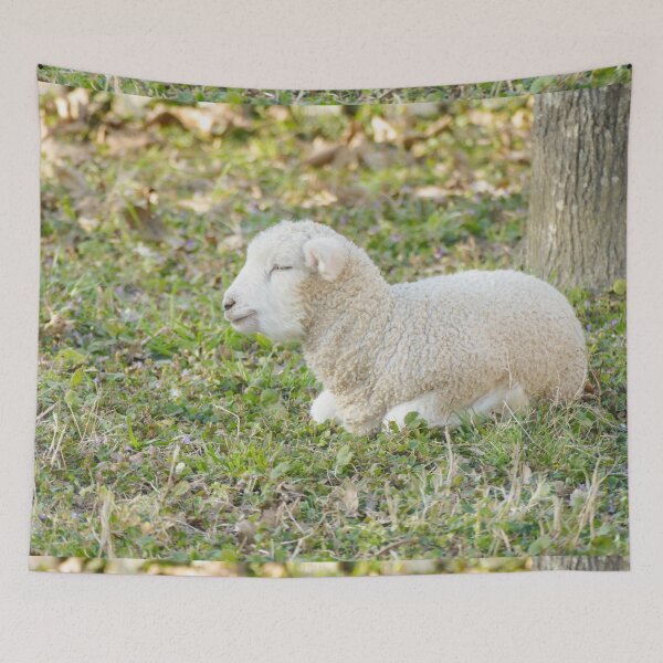 Item preview, Peaceful Sleeping Lamb in Pasture designed and sold by PaulinaS.