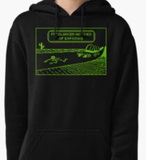 Your Freelancer Has Died of Exposure Pullover Hoodie