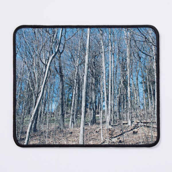 Item preview, Bare Trees designed and sold by RoseyElisabeth.