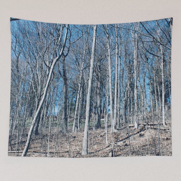 Item preview, Bare Trees designed and sold by RoseyElisabeth.