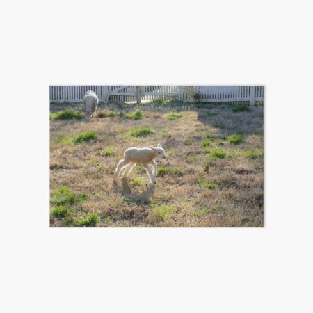 Item preview, Running Lamb in Golden Afternoon Glow designed and sold by PaulinaS.