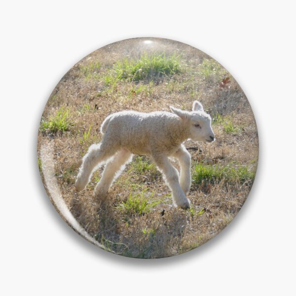 Item preview, Running Lamb in Golden Afternoon Glow designed and sold by PaulinaS.