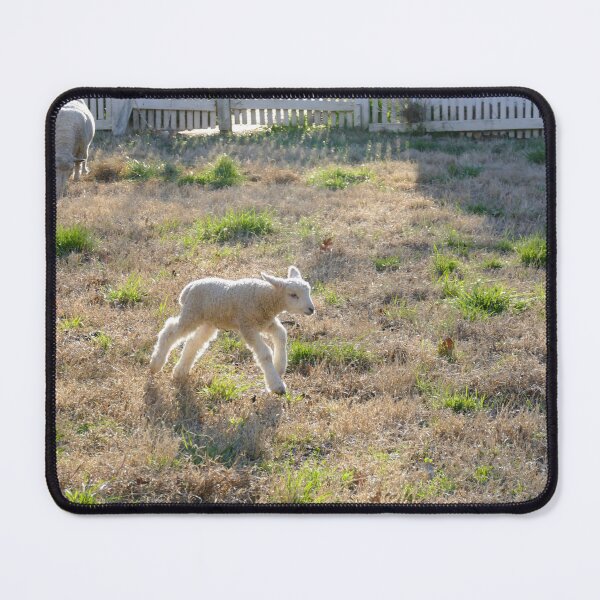 Item preview, Running Lamb in Golden Afternoon Glow designed and sold by PaulinaS.