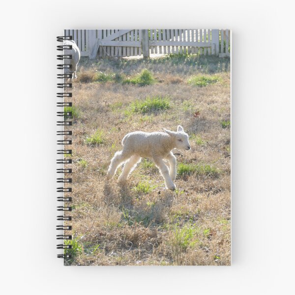 Item preview, Running Lamb in Golden Afternoon Glow designed and sold by PaulinaS.