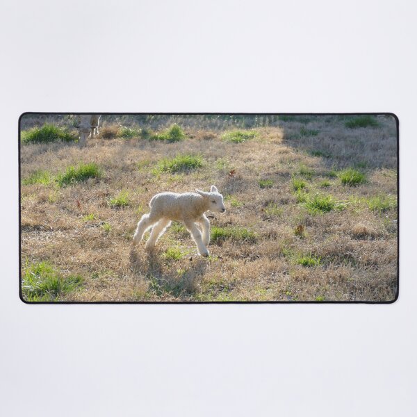 Item preview, Running Lamb in Golden Afternoon Glow designed and sold by PaulinaS.