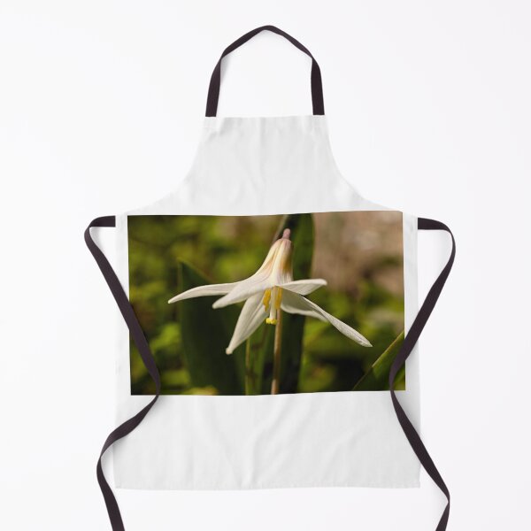 Item preview, White Trout Lily 17 - Erythronium albidum - Spring Ephemeral designed and sold by outdoorstudio.