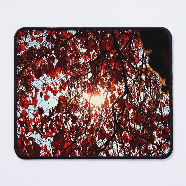 Item preview, Red Sunbreak designed and sold by Vicky Walter.