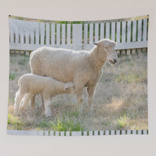 Item preview, Lamb Gently Nudges Mom designed and sold by PaulinaS.