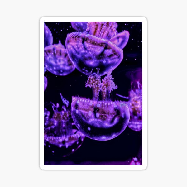 Spotted Jellyfish Sticker