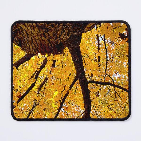 Item preview, Branching Out designed and sold by Vicky Walter.