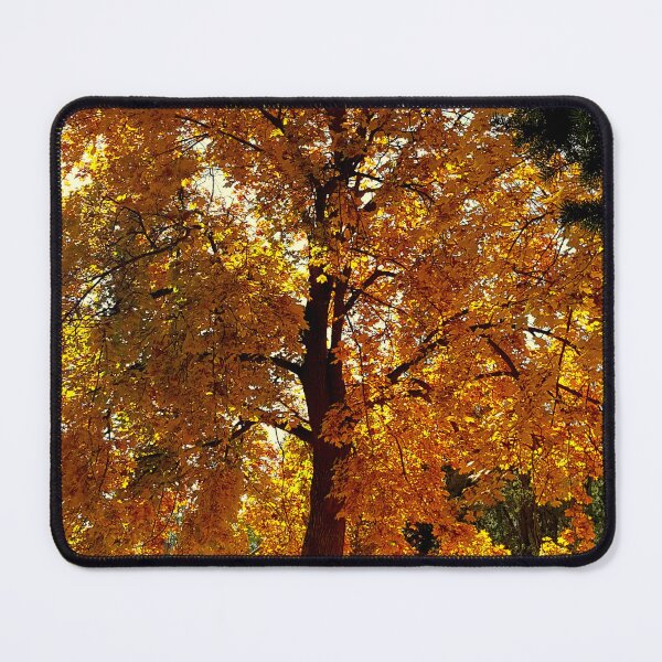 Item preview, Golden Maple designed and sold by Vicky Walter.