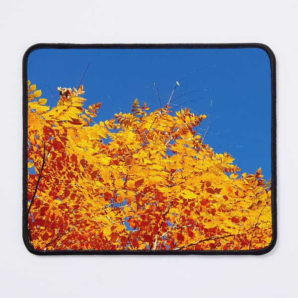Item preview, Complimentary Colors designed and sold by Vicky Walter.