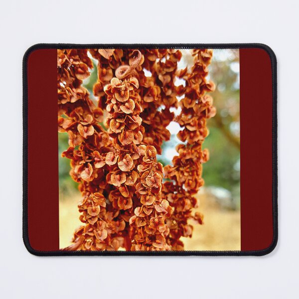 Item preview, Autumn Curly Dock designed and sold by Vicky Walter.