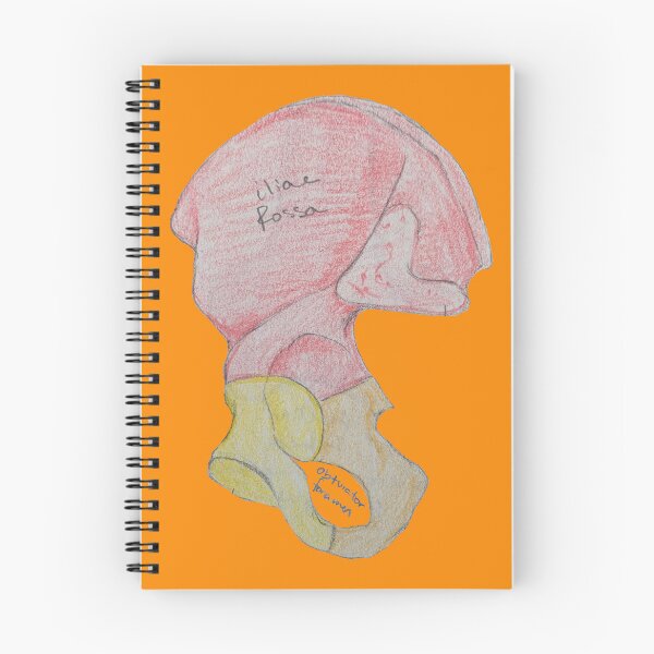 Item preview, Pelvis designed and sold by derbyisdead.