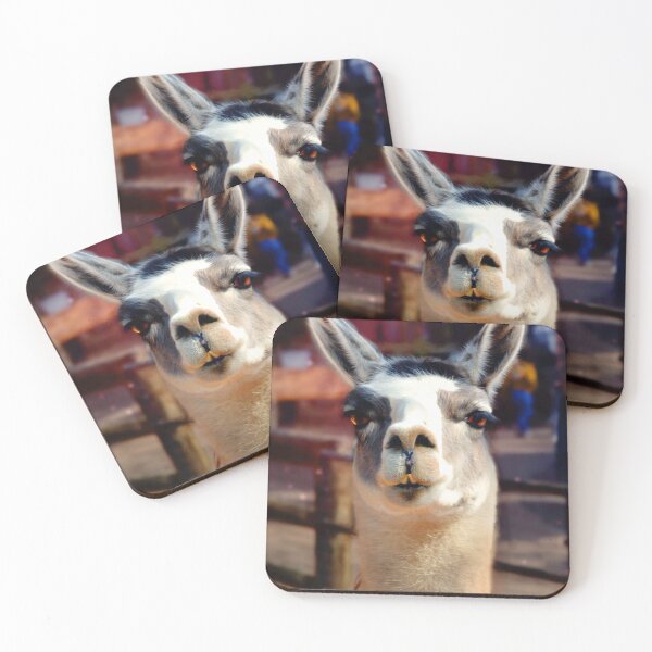 Item preview, Llama designed and sold by Savannah Gibbs.