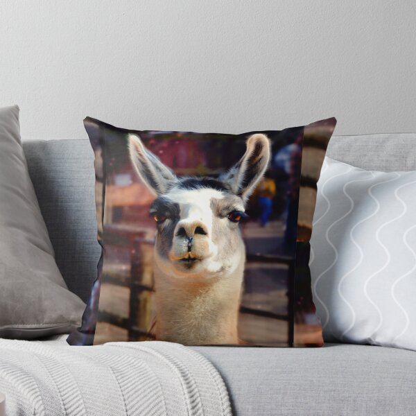 Item preview, Llama designed and sold by Savannah Gibbs.
