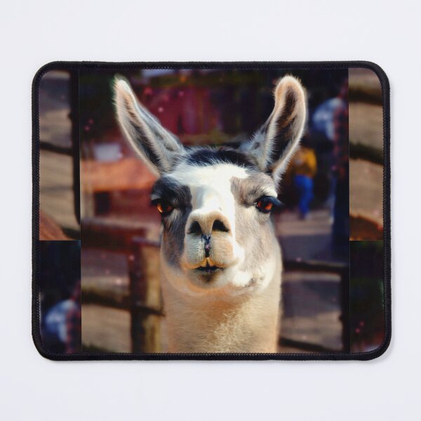 Item preview, Llama designed and sold by Savannah Gibbs.