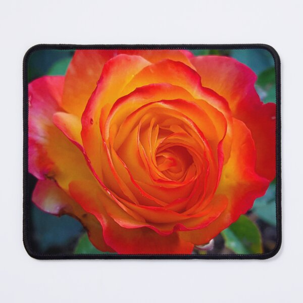 Item preview, Ember Rose designed and sold by Vicky Walter.