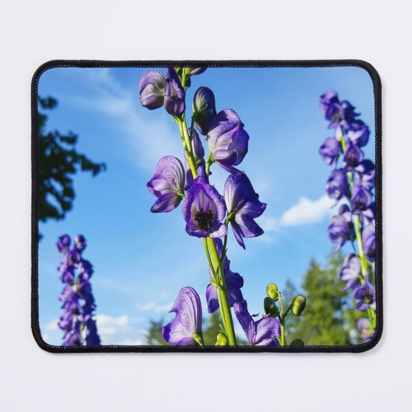 Item preview, Monkshood designed and sold by Vicky Walter.