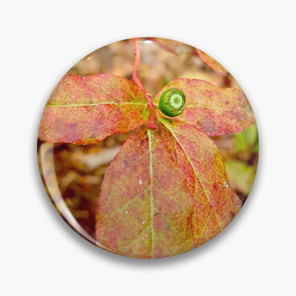 Artikelvorschau, Herbst Berry entworfen und verkauft von Vicky Walter.