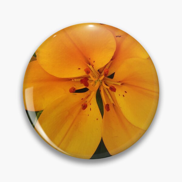 Item preview, Daylily designed and sold by Vicky Walter.