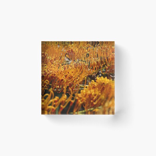 Item preview, Autumn Foliage 2 designed and sold by Honey Myrtle Studio.