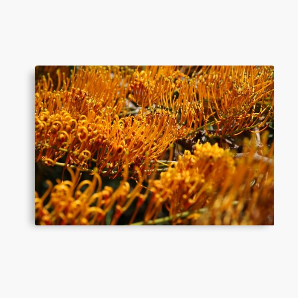 Item preview, Autumn Foliage 2 designed and sold by Honey Myrtle Studio.