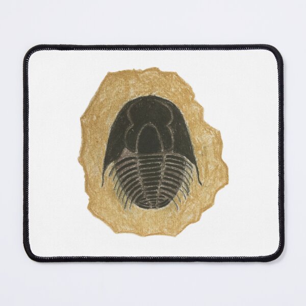 Item preview, Trilobite designed and sold by amytarleton.