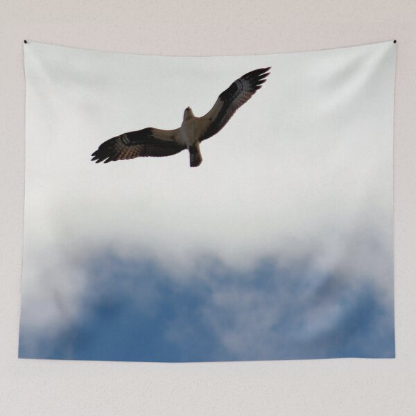 Item preview, OSPREY 6 designed and sold by BOLLA67.