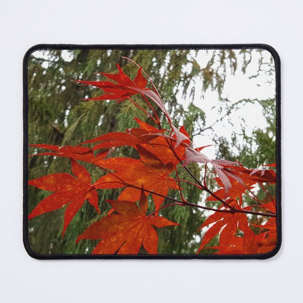 Item preview, Fall and Evergreen designed and sold by Vicky Walter.