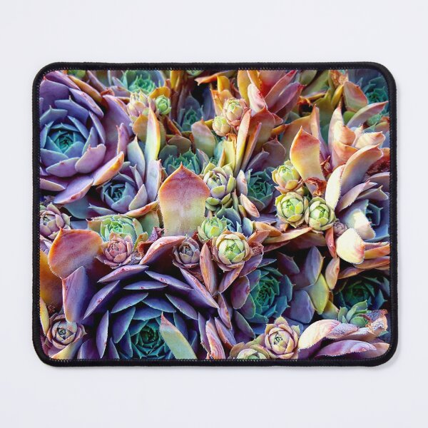 Item preview, Rainbow Succulents designed and sold by Vicky Walter.