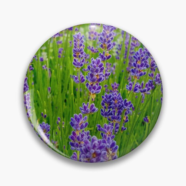 Item preview, Lavender Fields designed and sold by Vicky Walter.