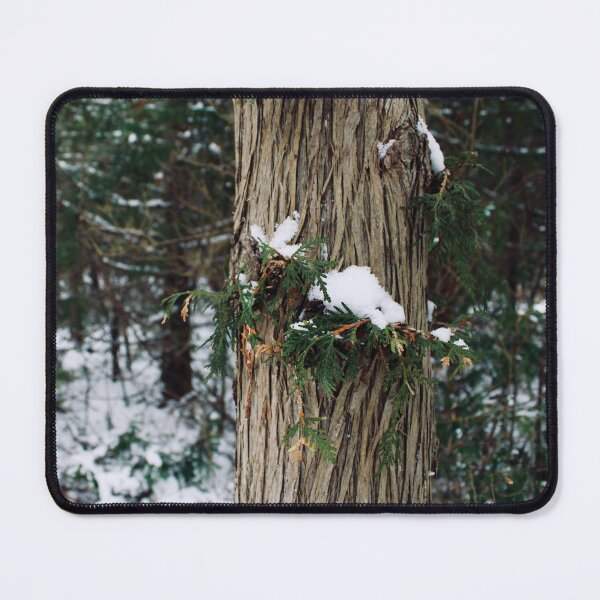 Item preview, Winter Tree Closeup designed and sold by RoseyElisabeth.