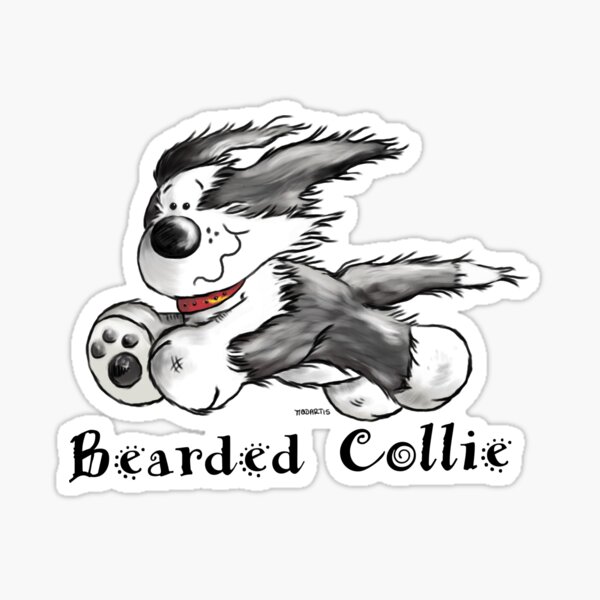 Funny Running Bearded Collie Cartoon Sticker