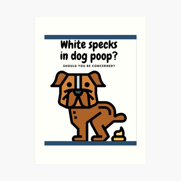 "Funny Pooping Dog ,Dogs Pooping ,Dog Pooping Funny ,Dogs Pooping