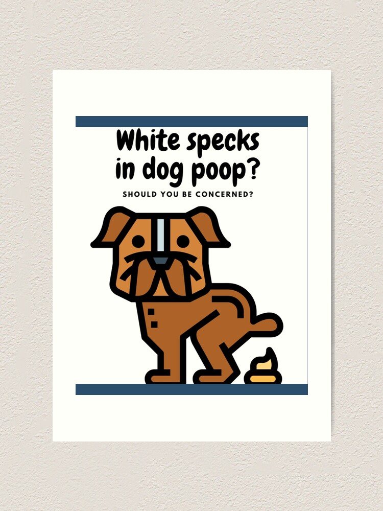 "Funny Pooping Dog ,Dogs Pooping ,Dog Pooping Funny ,Dogs Pooping training ,Thanks For Sharing