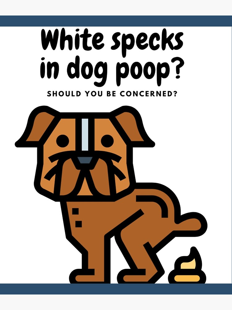 "Funny Pooping Dog ,Dogs Pooping ,Dog Pooping Funny ,Dogs Pooping