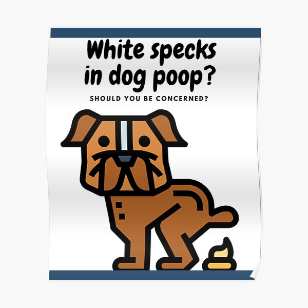 "Funny Pooping Dog ,Dogs Pooping ,Dog Pooping Funny ,Dogs Pooping