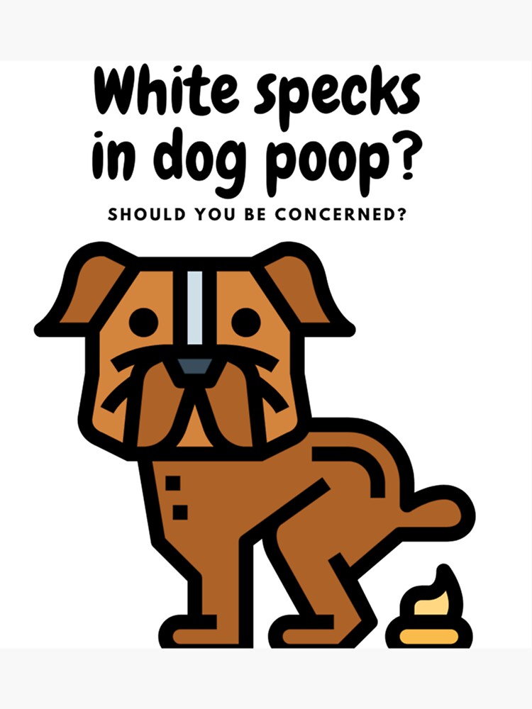 "Funny Pooping Dog ,Dogs Pooping ,Dog Pooping Funny ,Dogs Pooping