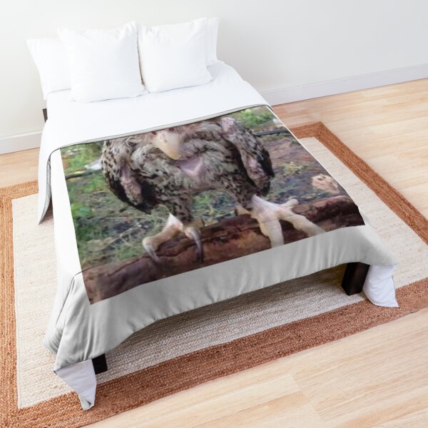 Wet Owl Meme Comforter