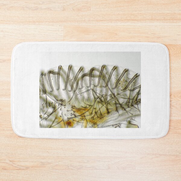 Item preview, Fly "tongue" (labellum with pseudotracheae) under the microscope. designed and sold by SDym Photography.