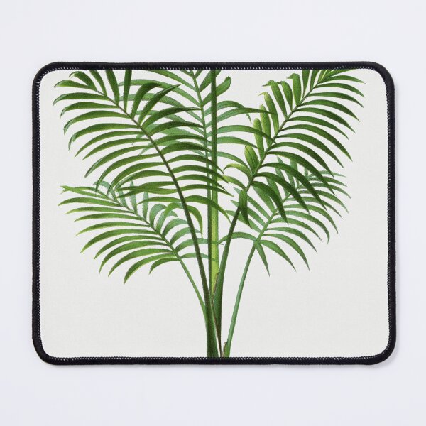Item preview, Palm Tree Illustration - Chamaedorea Elegans designed and sold by redoARTstore.