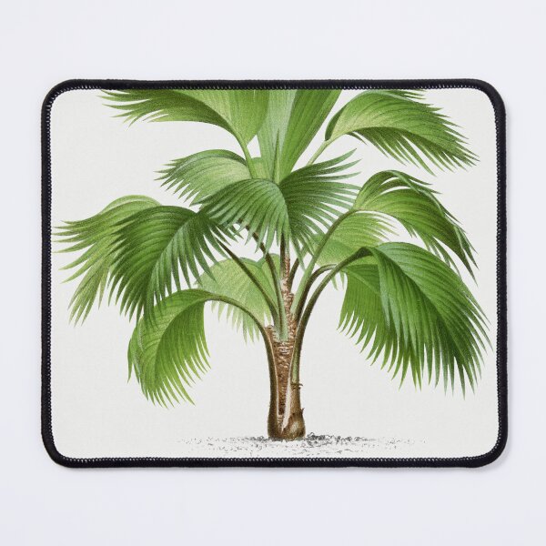 Item preview, Palm Tree Illustration - Pritchardia Pacifica designed and sold by redoARTstore.