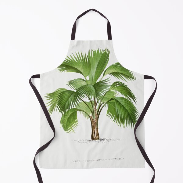 Item preview, Palm Tree Illustration - Pritchardia Pacifica designed and sold by redoARTstore.