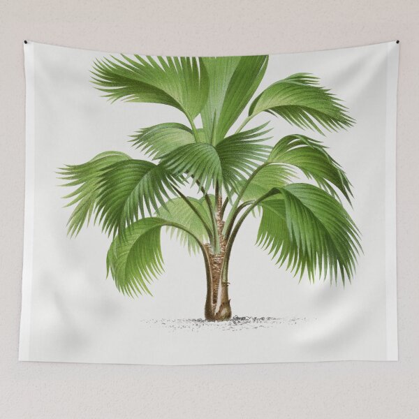 Item preview, Palm Tree Illustration - Pritchardia Pacifica designed and sold by redoARTstore.