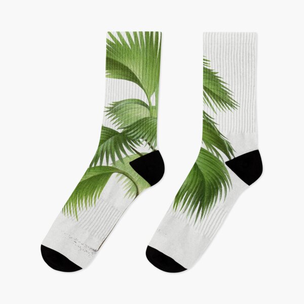 Item preview, Palm Tree Illustration - Pritchardia Pacifica designed and sold by redoARTstore.