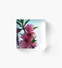 Peach Blossoms Acrylic Block