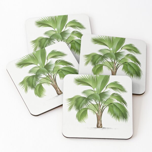 Artikelvorschau, Palme-Illustration - Hyophorbe Indica entworfen und verkauft von redoARTstore.
